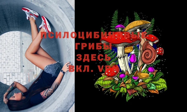 бошки Нефтегорск