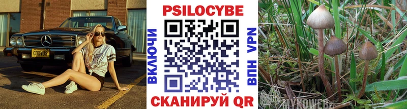 купить закладку  Кочубеевское  Галлюциногенные грибы мицелий 